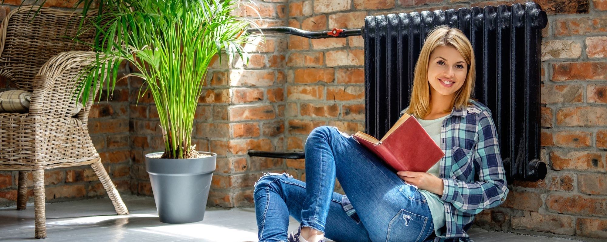 Heizkörper reinigen